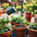 Effective Strategies for Watering Container Plants: A Guide to Garden Care