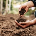 Choosing the Right Soil for Your Garden: A Guide to Optimal Garden Care