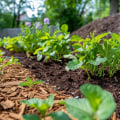 The Essential Benefits of Using Mulch for Effective Garden Care