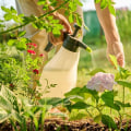 Natural Pest Control Strategies for Healthy Garden Care