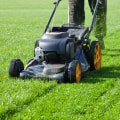 The Essential Guide to Lawn Mowing Frequency for Optimal Garden Care