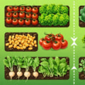 Recognizing the Right Time for Crop Rotation and Replanting in Your Garden