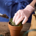 Essential Tips for Effective Garden Care: Common Mistakes to Avoid