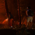 Protect Your Property with Defensible Space and Wildfire Mitigation