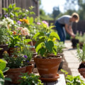 Enhancing Your Gardening Experience: Tips for Stress-Free Garden Care