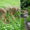 Effective Strategies to Prevent Soil Erosion in Your Garden