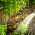 Optimal Timing for Watering Your Garden: A Guide to Effective Garden Care