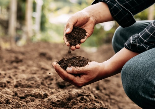 Choosing the Right Soil for Your Garden: A Guide to Optimal Garden Care