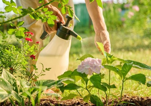 Natural Pest Control Strategies for Healthy Garden Care