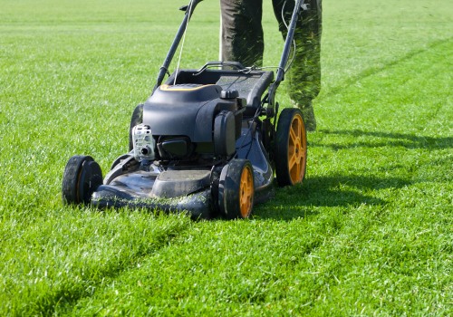 The Essential Guide to Lawn Mowing Frequency for Optimal Garden Care