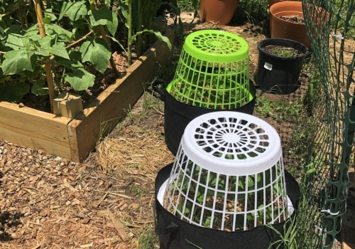 Essential Strategies for Protecting Your Garden from Extreme Weather