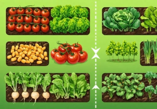 Recognizing the Right Time for Crop Rotation and Replanting in Your Garden
