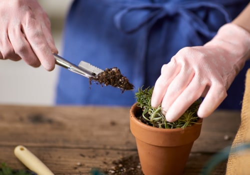 Essential Tips for Effective Garden Care: Common Mistakes to Avoid