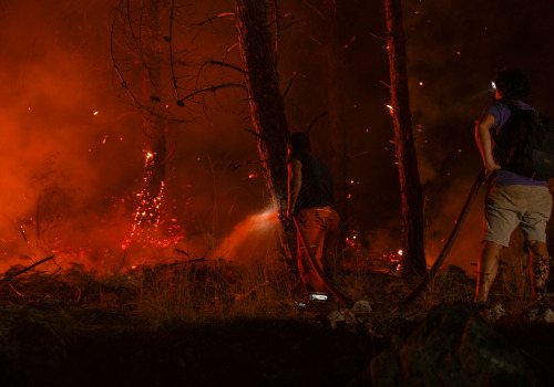 Protect Your Property with Defensible Space and Wildfire Mitigation