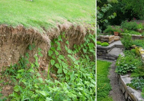 Effective Strategies to Prevent Soil Erosion in Your Garden