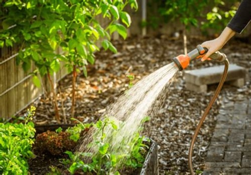 Optimal Timing for Watering Your Garden: A Guide to Effective Garden Care